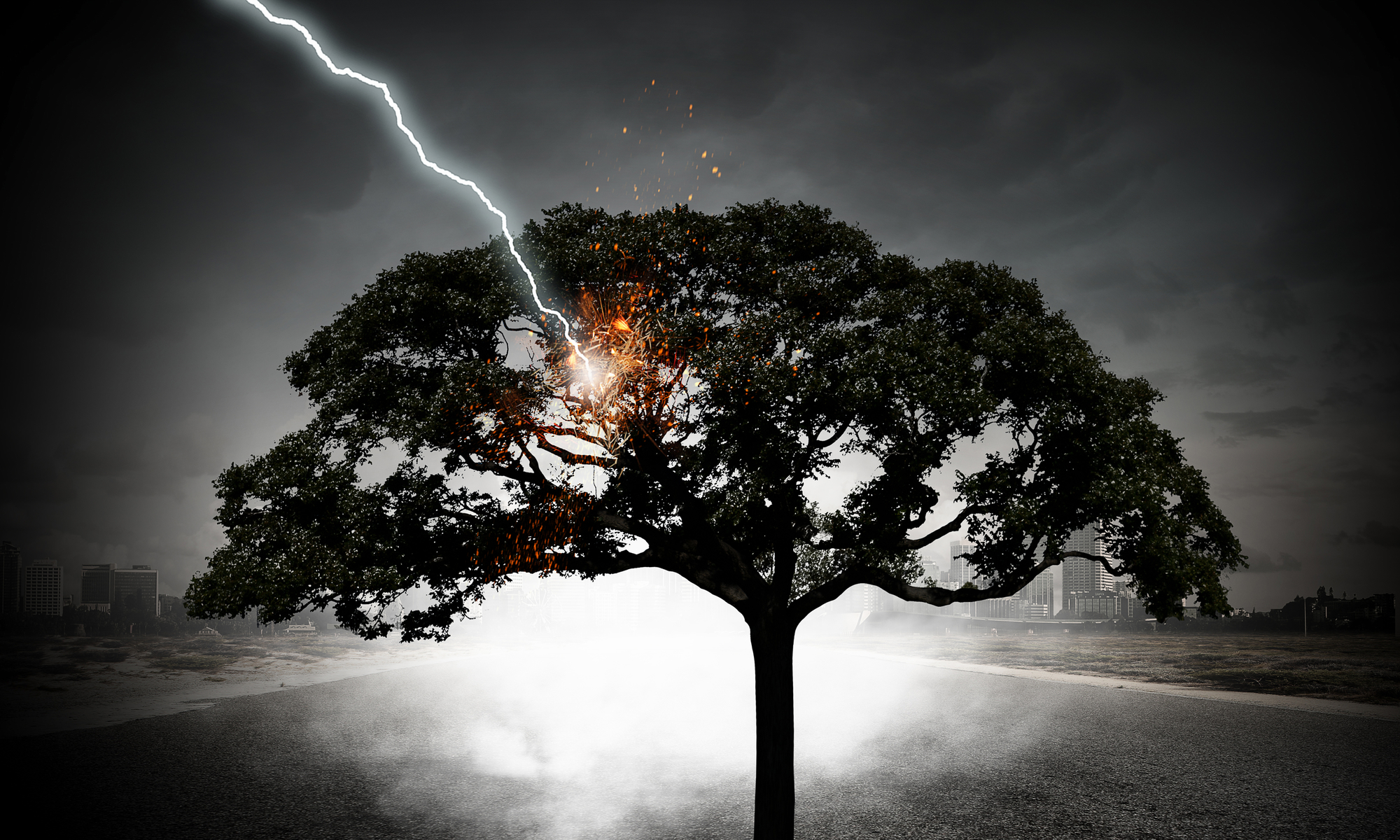 При попадании молнии в дерево спрятавшийся под ним человек попадает под действие шагового напряжения