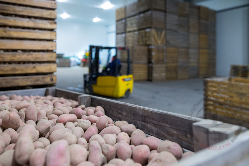 Молниезащита склада картофеля в Московской области