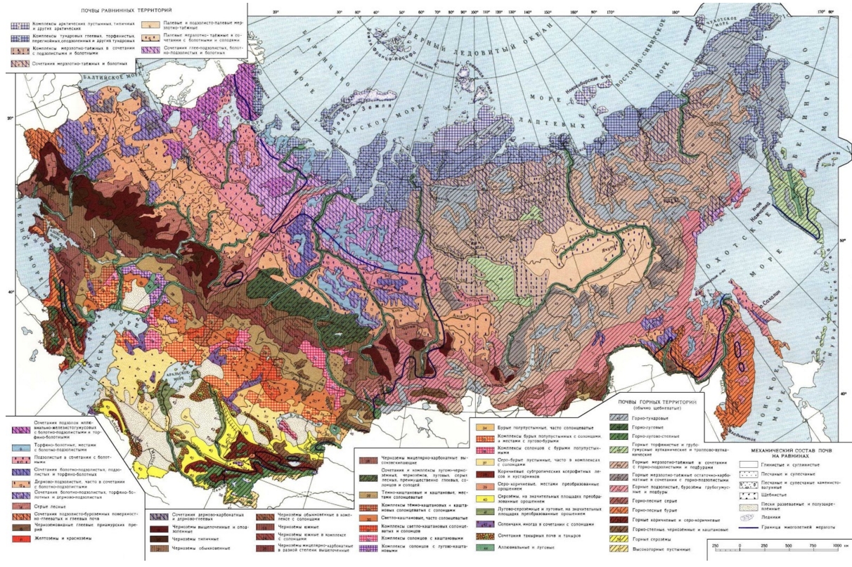 the type of soil on the map of soils on the territory of Russia