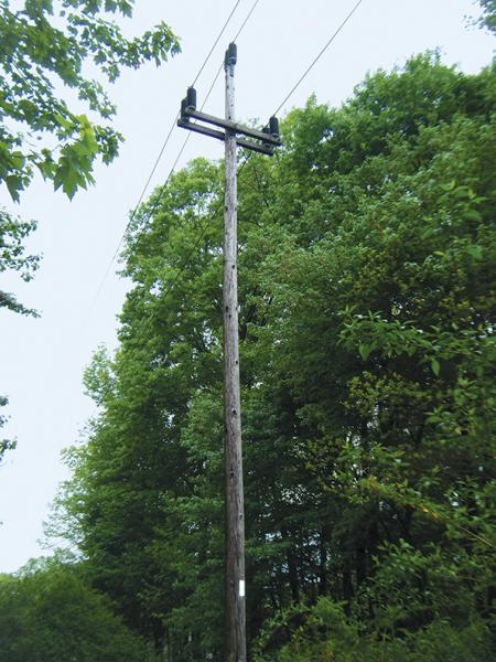 Power transmission line support in forest area