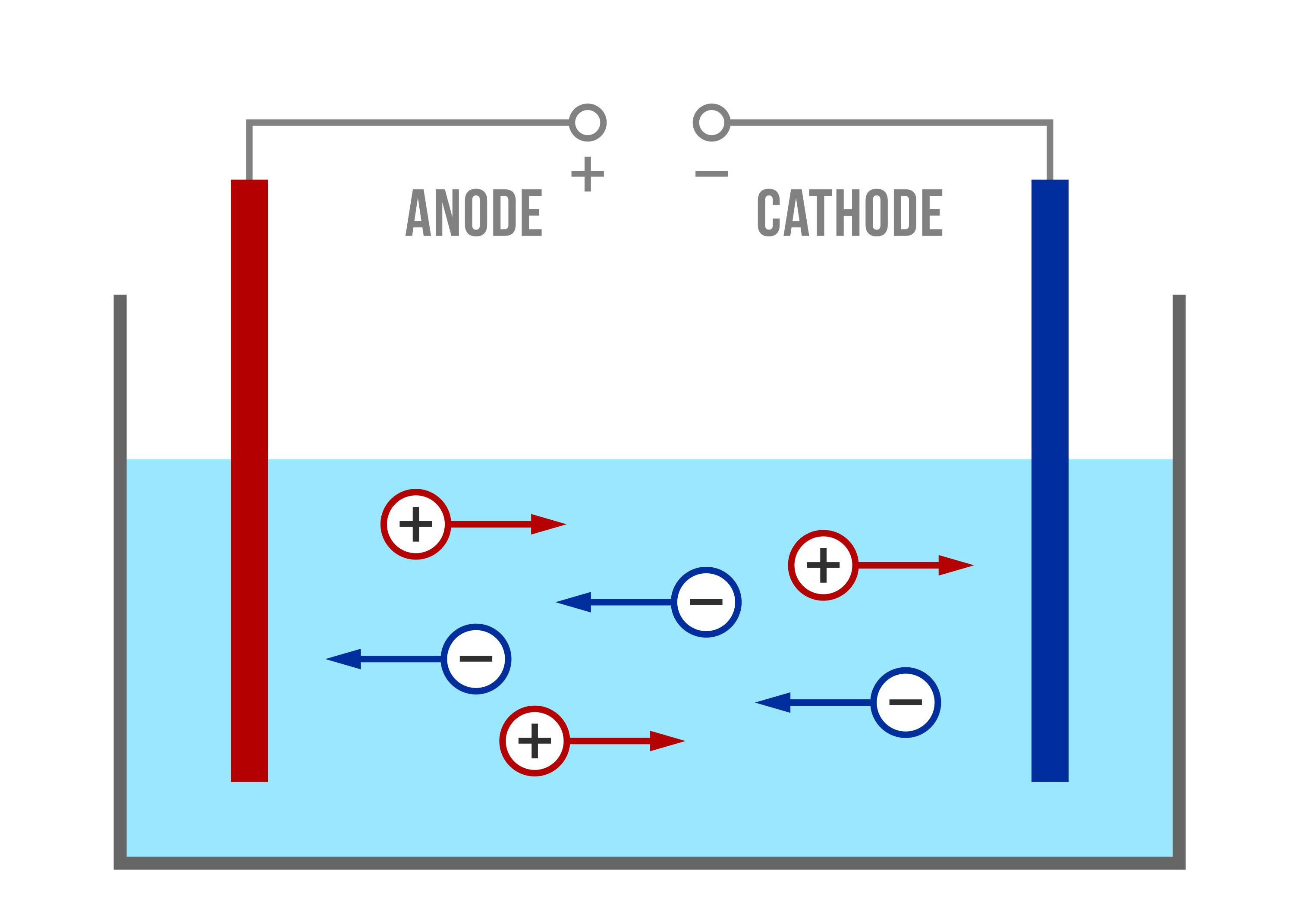 Ion Conductivity in the Electrolyte