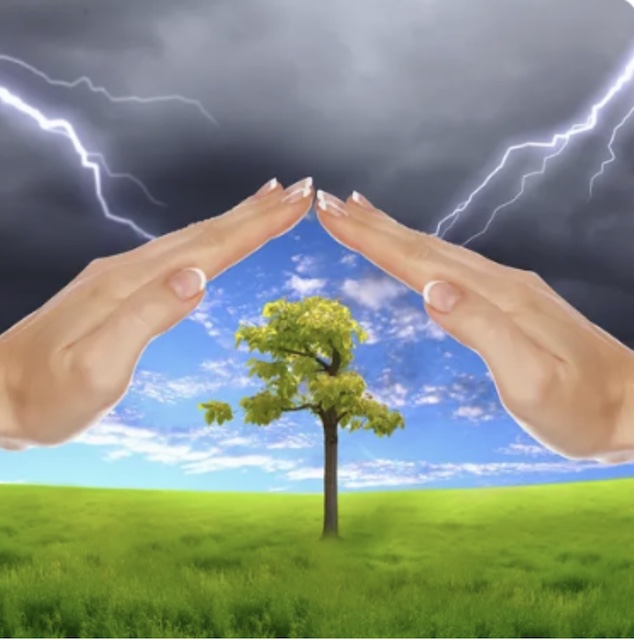 Why Protecting Trees from Lightnings and How?