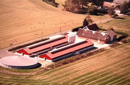 This is interesting! Lightning protection of agricultural constructions for chickens