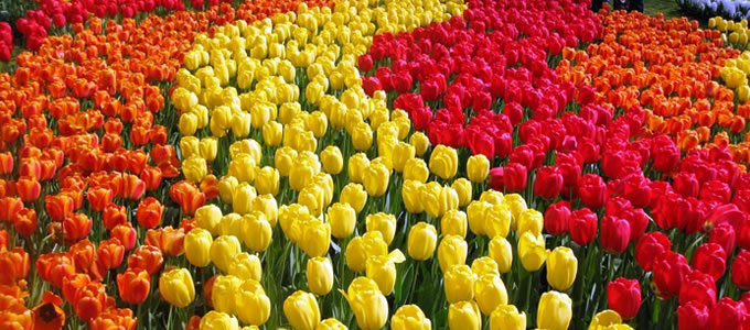 Майские праздники