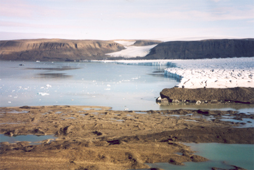 Новая земля