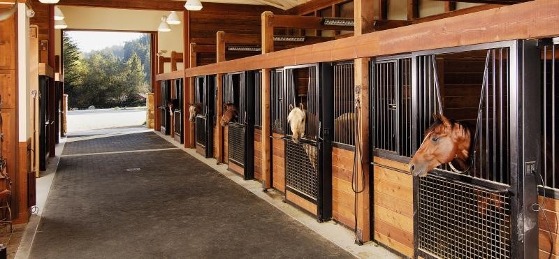 An interesting project: lightning protection for stables