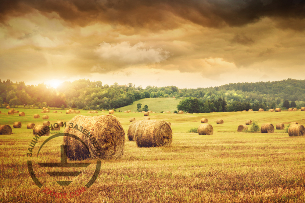 Lightning protection of the field in Kursk