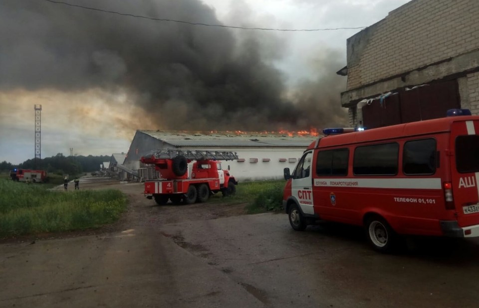 Lightning caused fire in the poultry farm