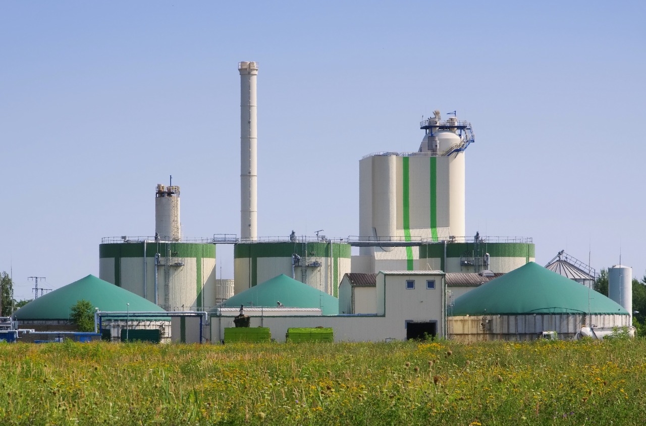 Exemplary calculation of the lightning protection for the French fries making plant in the Sverdlovsk Region