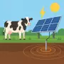 Как защитить коров от опасных напряжений на солнечной электростанции?
