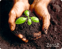 УДЕЛЬНОЕ СОПРОТИВЛЕНИЕ ГРУНТА